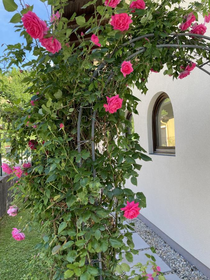 Appartement Erlbacher Lungötz 外观 照片